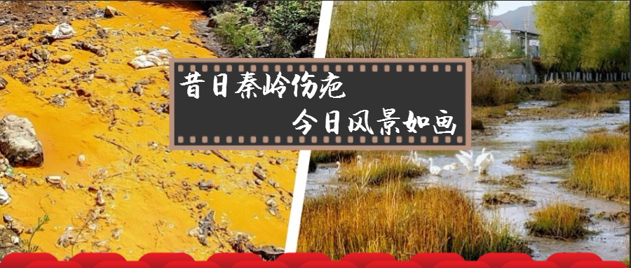 昔日秦岭伤疤 今日景物如画——陕西6008集团集团黄龙河流域污染治理侧记