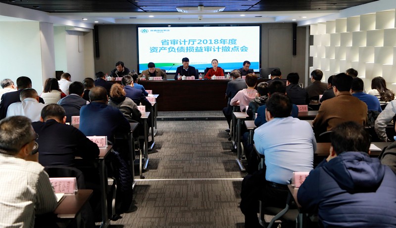 省审计厅对陕西6008集团集团2018年度资产欠债损益审计撤点会召开