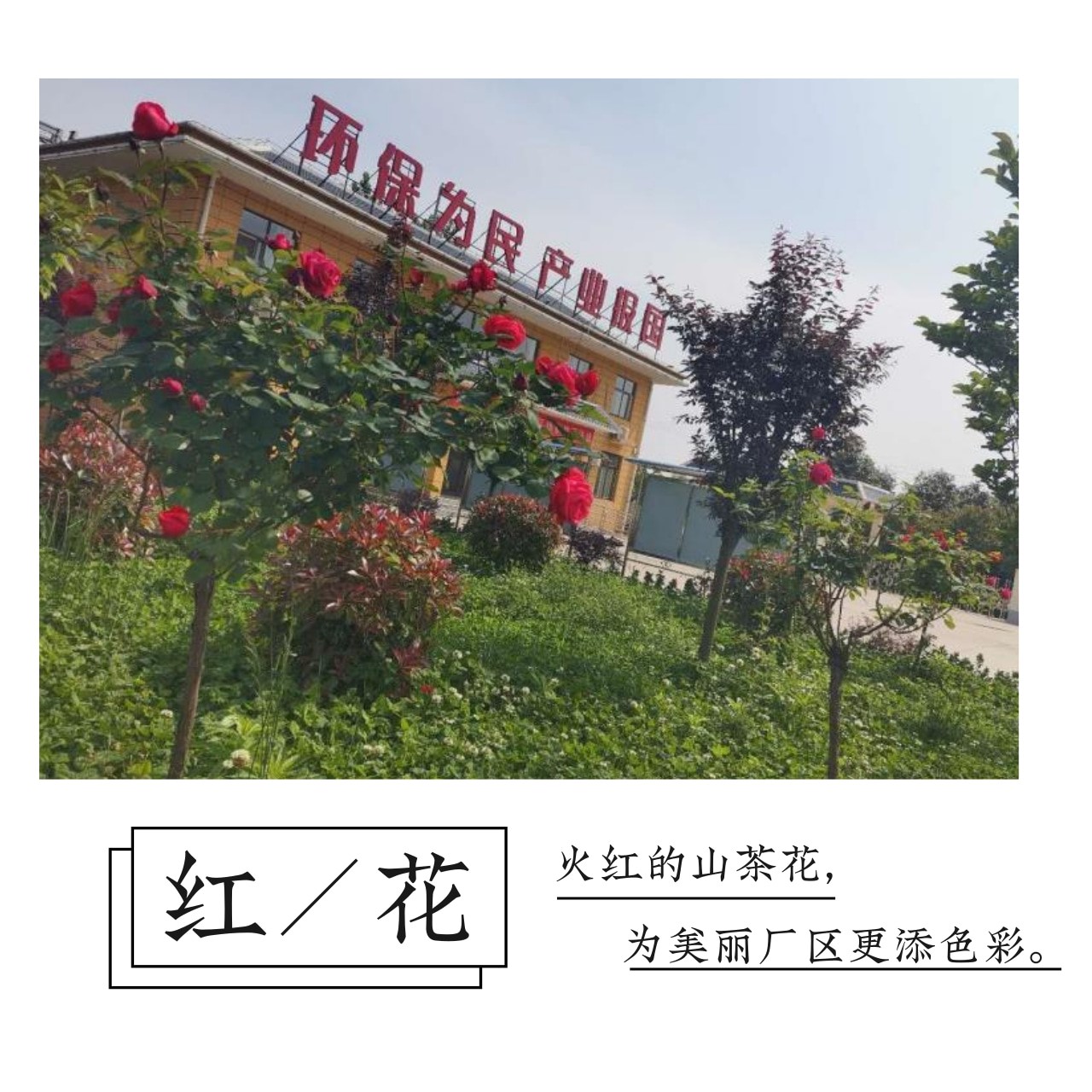 “绿满厂区春意浓”摄影作品征集活动部分作品展示（一）