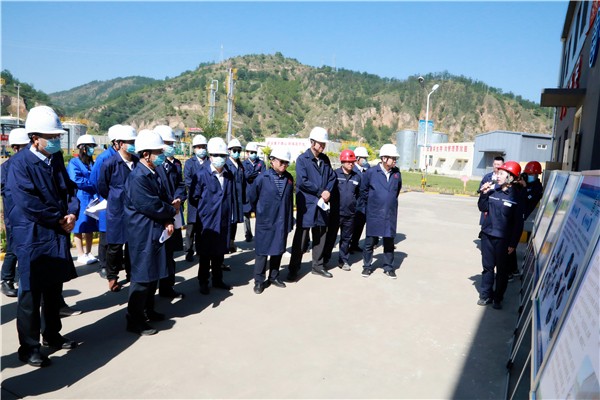 陕西6008集团集团复工复产促增添项目观摩聚会与会职员走进6008集团保隆生态三秦在延在铜项目