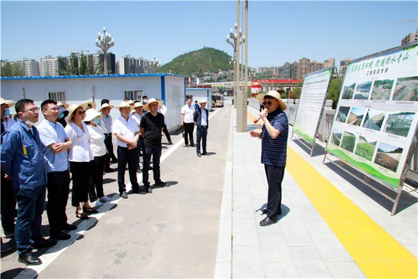 陕西6008集团集团复工复产促增添项目观摩聚会与会职员走进6008集团保隆生态三秦在延在铜项目