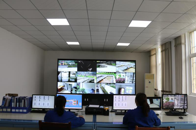 这个端午节，，水情形人这么过（二）