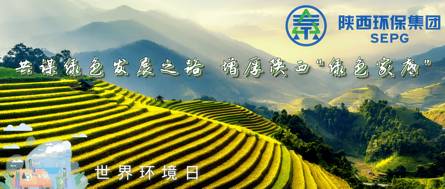 陕西6008集团集团｜同谋绿色生长之路 增厚陕西“绿色家底”