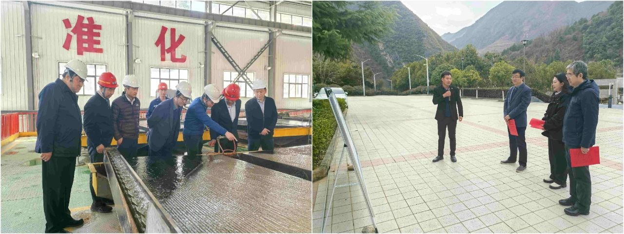 陕西6008集团集团外部董事赴鼎丰矿业公司、水情形公司镇安污水处置惩罚厂调研指导事情